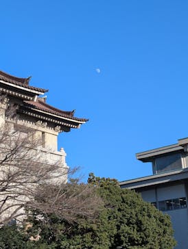 東京国立博物館に投稿された画像（2025/1/10）