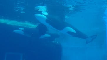 名古屋港水族館に投稿された画像（2025/1/10）