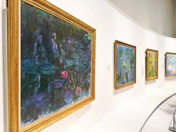 モネ 睡蓮のとき（国立西洋美術館）に投稿された画像（2025/1/10）