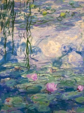 モネ 睡蓮のとき（国立西洋美術館）に投稿された画像（2025/1/10）