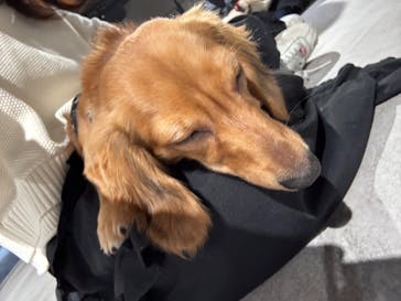 カワスイ 川崎⽔族館に投稿された画像（2025/1/10）