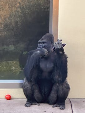 名古屋市東山動植物園に投稿された画像（2025/1/10）