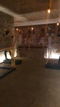 MYSTERY OF TUTANKHAMEN 体感型古代エジプト展に投稿された画像（2025/1/10）
