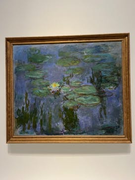 モネ 睡蓮のとき（国立西洋美術館）に投稿された画像（2025/1/10）