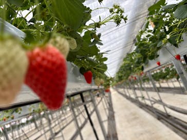 株式会社こまち野に投稿された画像（2025/1/10）