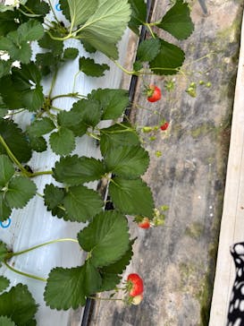 株式会社こまち野に投稿された画像（2025/1/10）