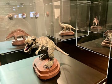 felissimo chocolate museum（フェリシモチョコレートミュージアム）に投稿された画像（2025/1/10）