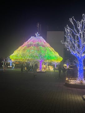 東京メガイルミに投稿された画像（2025/1/10）
