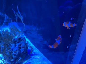 竹島水族館に投稿された画像（2025/1/10）