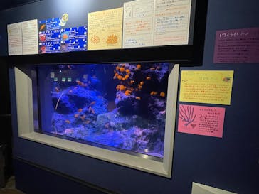 竹島水族館に投稿された画像（2025/1/10）