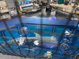 沖縄美ら海水族館に投稿された画像（2025/1/10）