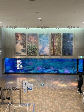 モネ 睡蓮のとき（国立西洋美術館）に投稿された画像（2025/1/10）