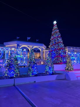 ラグーナテンボス ラグナシアに投稿された画像（2025/1/10）