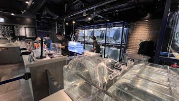 京都水族館に投稿された画像（2025/1/11）