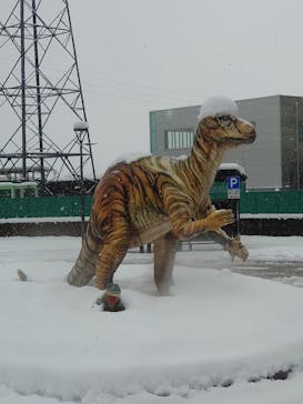 福井県立恐竜博物館に投稿された画像（2025/1/11）