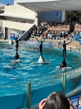 鴨川シーワールドに投稿された画像（2025/1/11）