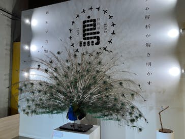 特別展「鳥 ～ゲノム解析が解き明かす新しい鳥類の系統～」国立科学博物館に投稿された画像（2025/1/11）