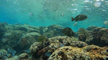 武藤潜水に投稿された画像（2025/1/11）