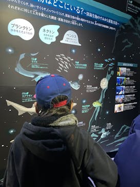 新江ノ島水族館に投稿された画像（2025/1/11）