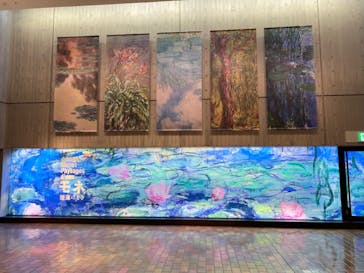モネ 睡蓮のとき（国立西洋美術館）に投稿された画像（2025/1/11）