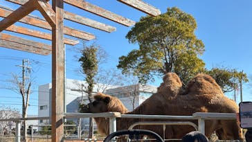 神戸どうぶつ王国に投稿された画像（2025/1/11）