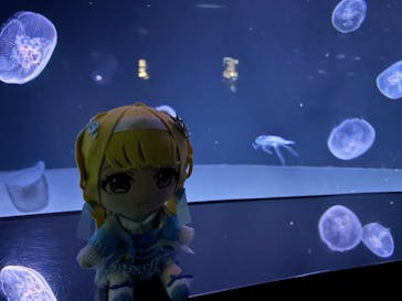 サンシャイン水族館に投稿された画像（2025/1/11）