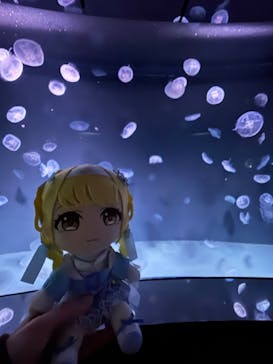 サンシャイン水族館に投稿された画像（2025/1/11）