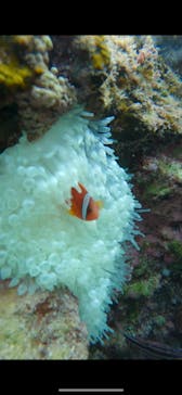 武藤潜水に投稿された画像（2025/1/11）