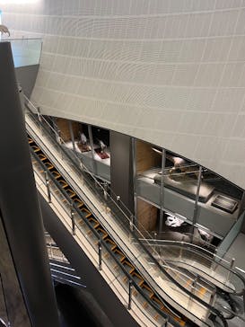 福井県立恐竜博物館に投稿された画像（2025/1/11）