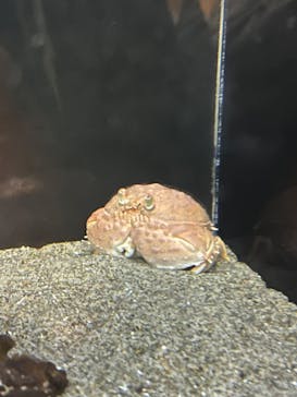 竹島水族館に投稿された画像（2025/1/11）