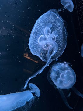 AOAO SAPPOROに投稿された画像（2025/1/11）