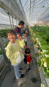 たにい農園に投稿された画像（2025/1/11）