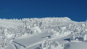 阿仁スキー場に投稿された画像（2025/1/11）