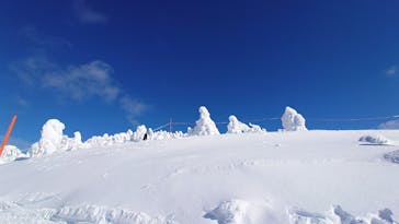阿仁スキー場に投稿された画像（2025/1/11）