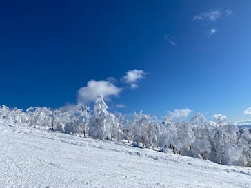 阿仁スキー場に投稿された画像（2025/1/11）