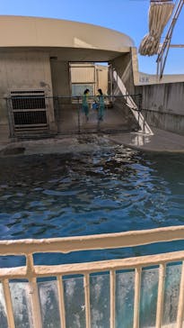 新江ノ島水族館に投稿された画像（2025/1/11）