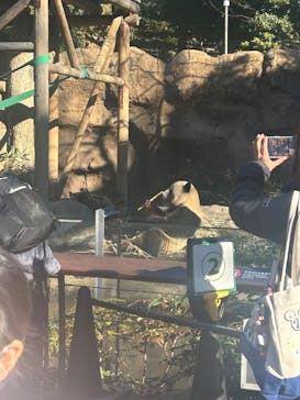 恩賜上野動物園に投稿された画像（2025/1/11）