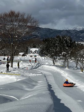 牧歌の里に投稿された画像（2025/1/11）