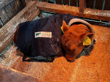 牧歌の里に投稿された画像（2025/1/11）