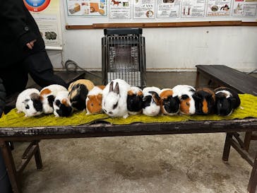 牧歌の里に投稿された画像（2025/1/11）