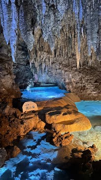 おきなわワールドに投稿された画像（2025/1/11）