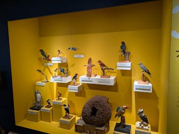 特別展「鳥 ～ゲノム解析が解き明かす新しい鳥類の系統～」国立科学博物館に投稿された画像（2025/1/11）
