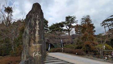 上方温泉 一休 京都本館に投稿された画像（2025/1/11）