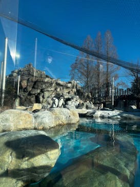 東武動物公園に投稿された画像（2025/1/11）