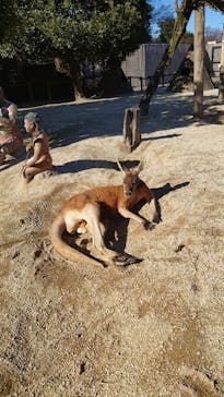 東武動物公園に投稿された画像（2025/1/11）