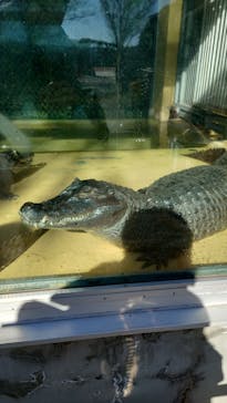 東武動物公園に投稿された画像（2025/1/11）