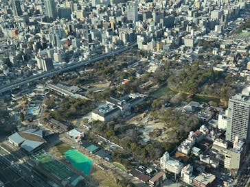 ハルカス300(展望台)に投稿された画像（2025/1/11）