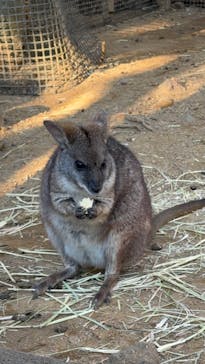伊豆シャボテン動物公園に投稿された画像（2025/1/11）