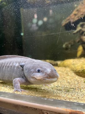 竹島水族館に投稿された画像（2025/1/11）