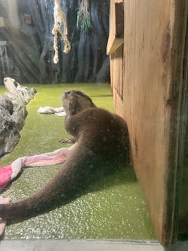 竹島水族館に投稿された画像（2025/1/11）